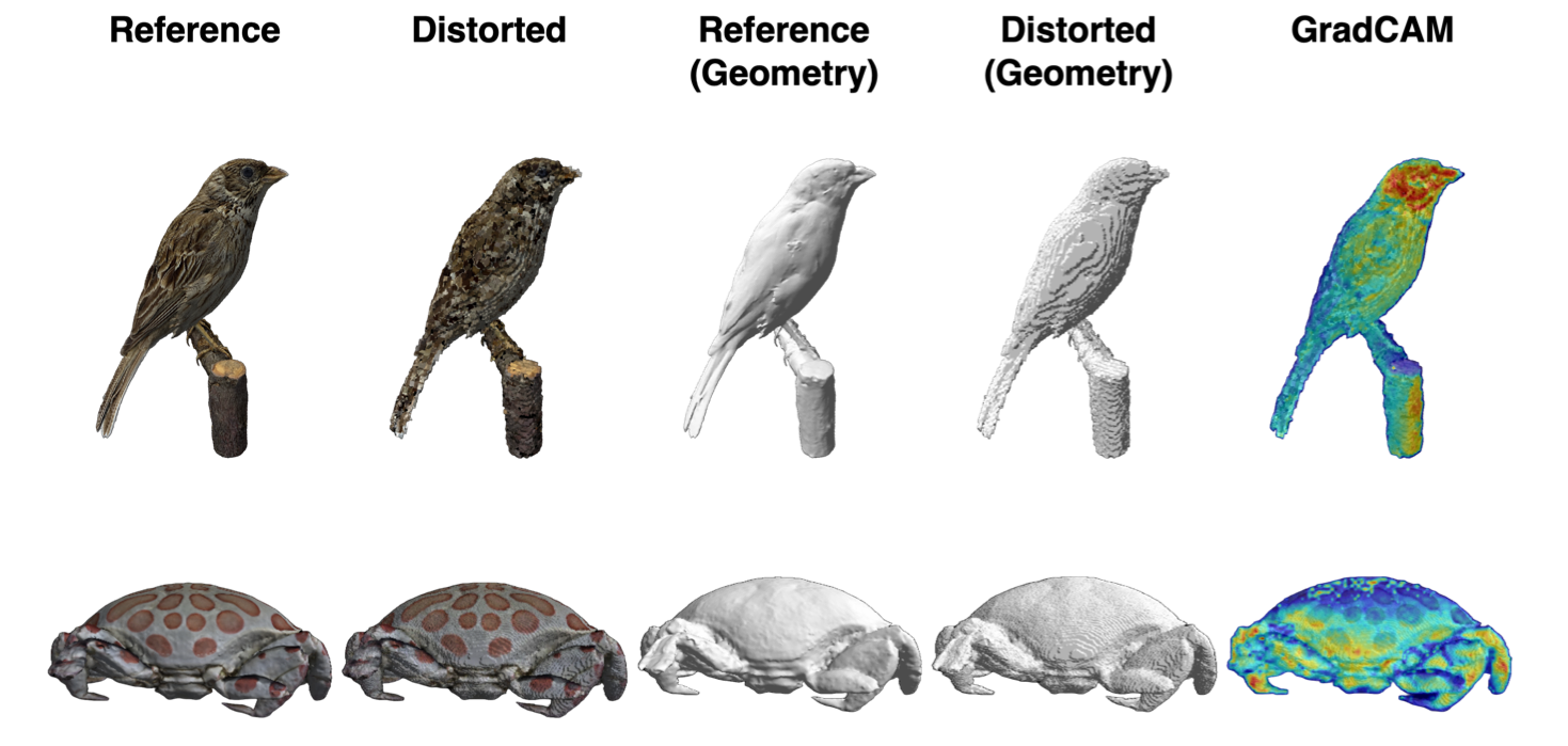 Visualization of GradCAM results on a 3D mesh